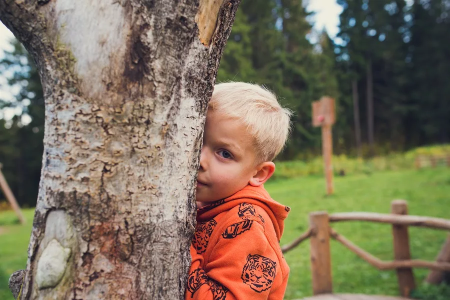 Young-boy-with-tree