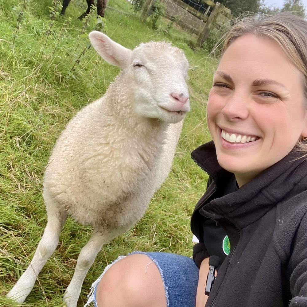 Jenny and Stella the sheep